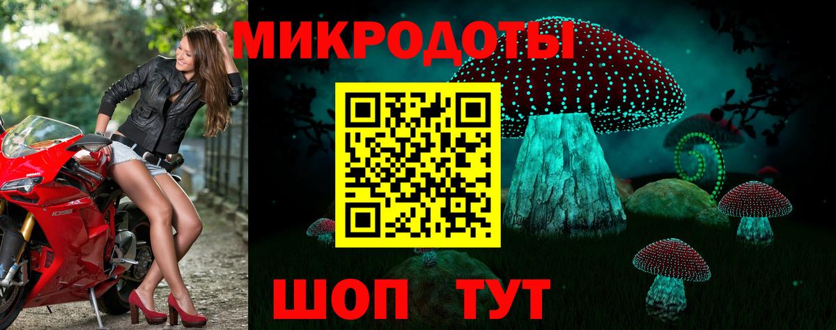 Псилоцибиновые грибы Psilocybe  Вход с VPN  Топки  Галлюциногенные грибы ЛСД 