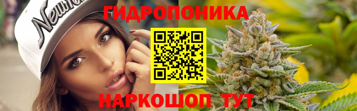 Шишки марихуана LSD WEED  Шишки марихуана план  Вход с VPN  Шишки марихуана Ganja  Топки 
